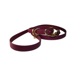 Burgundy Waterproof Set – vízálló nyakörv és póráz szett